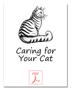 Caring for Your Cat