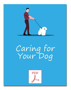 Caring for Your Dog