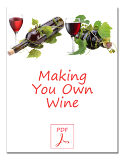 Making Your Own Wine