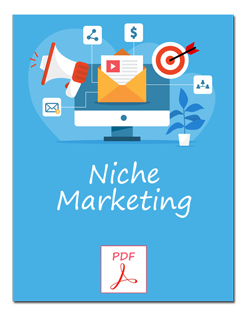 Niche Marketing Guide