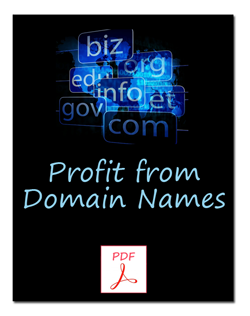 Profit From Domain Names