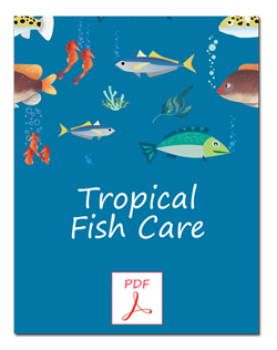 Tropical Fish Care