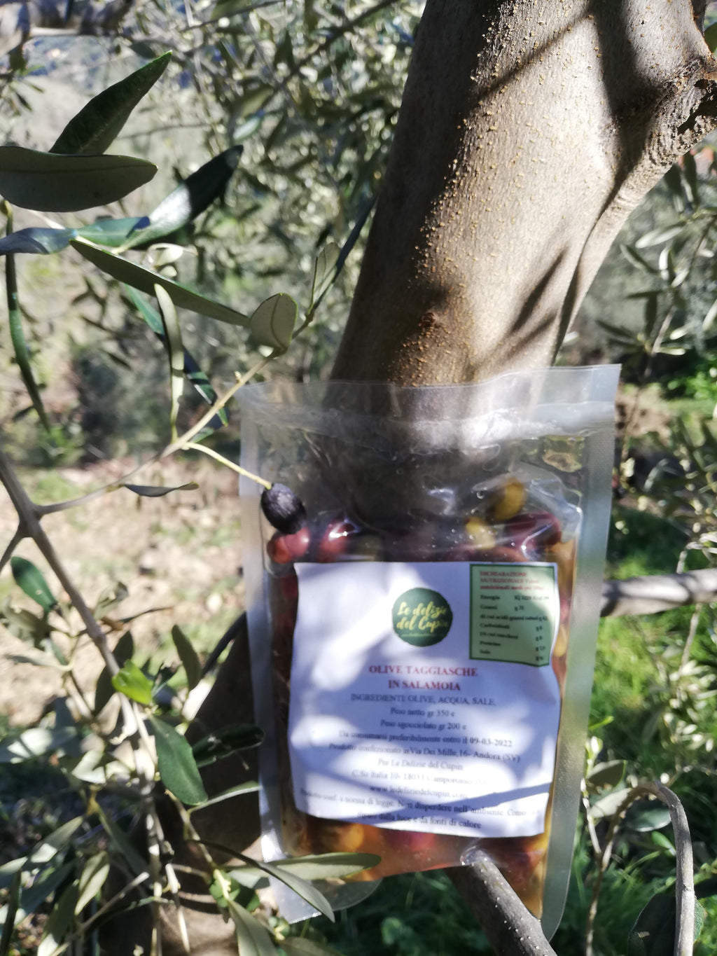 Olive 100% Taggiasche in Salamoia 200gr-3