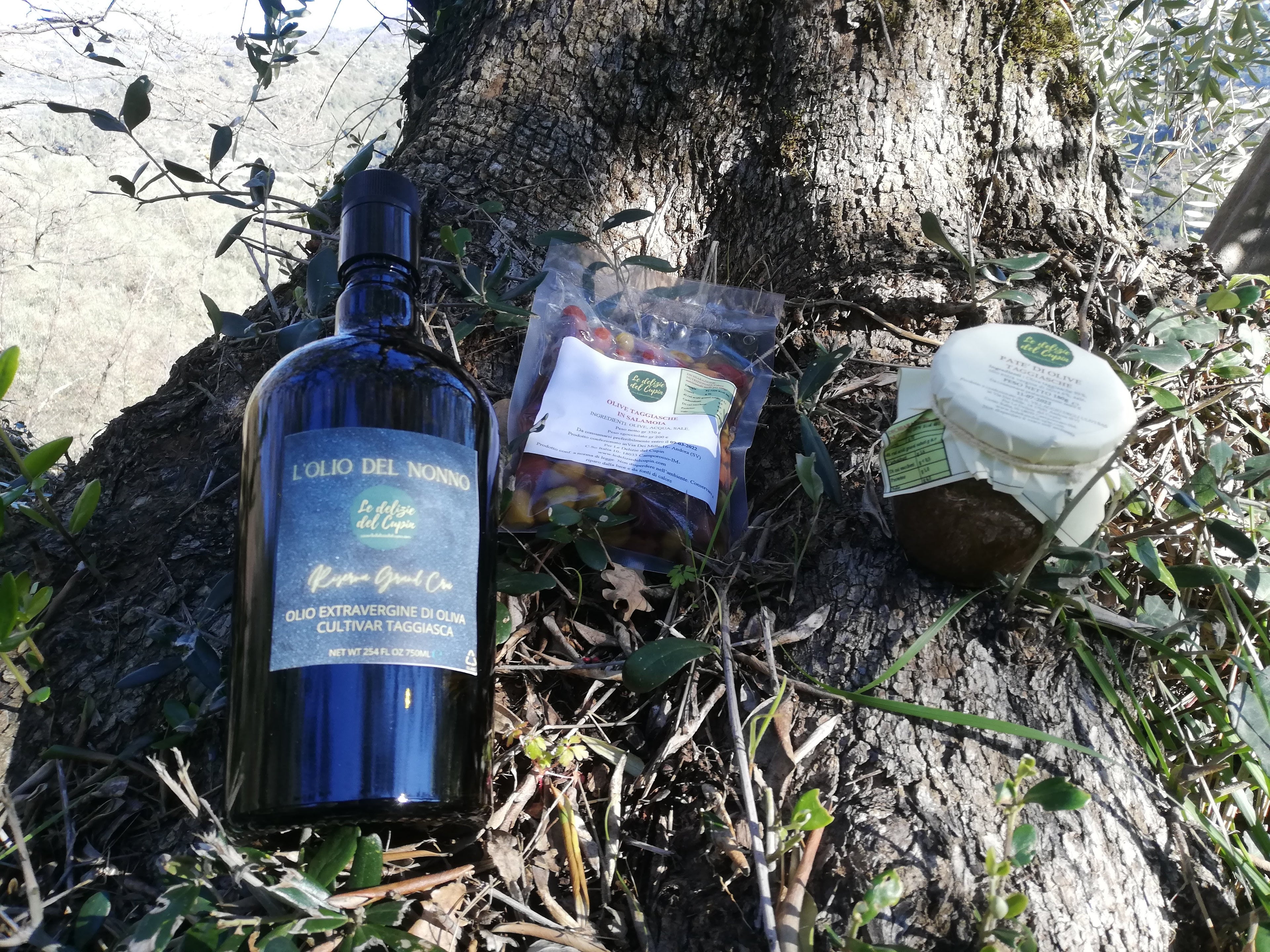 Olive 100% Taggiasche in Salamoia 200gr-2